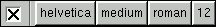 A View of a Font Panel