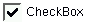 A View of a Check Box Widget